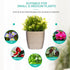 12cm Plant Pots Set of 3 - Sandstone Beige